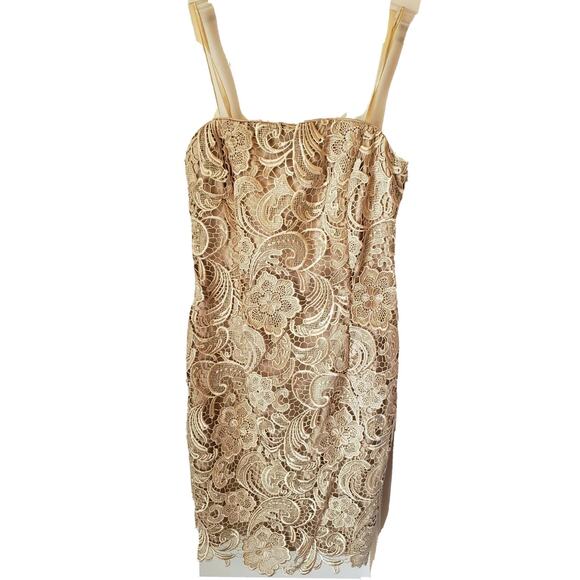 Cache Womens Taupe Lace Sleeveless Strapless Dress with Ribbon Sash Size 0 Prom - Picture 1 of 8